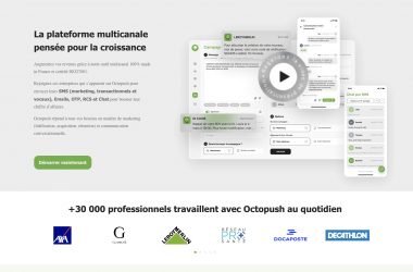 Museau de chat en gros plan